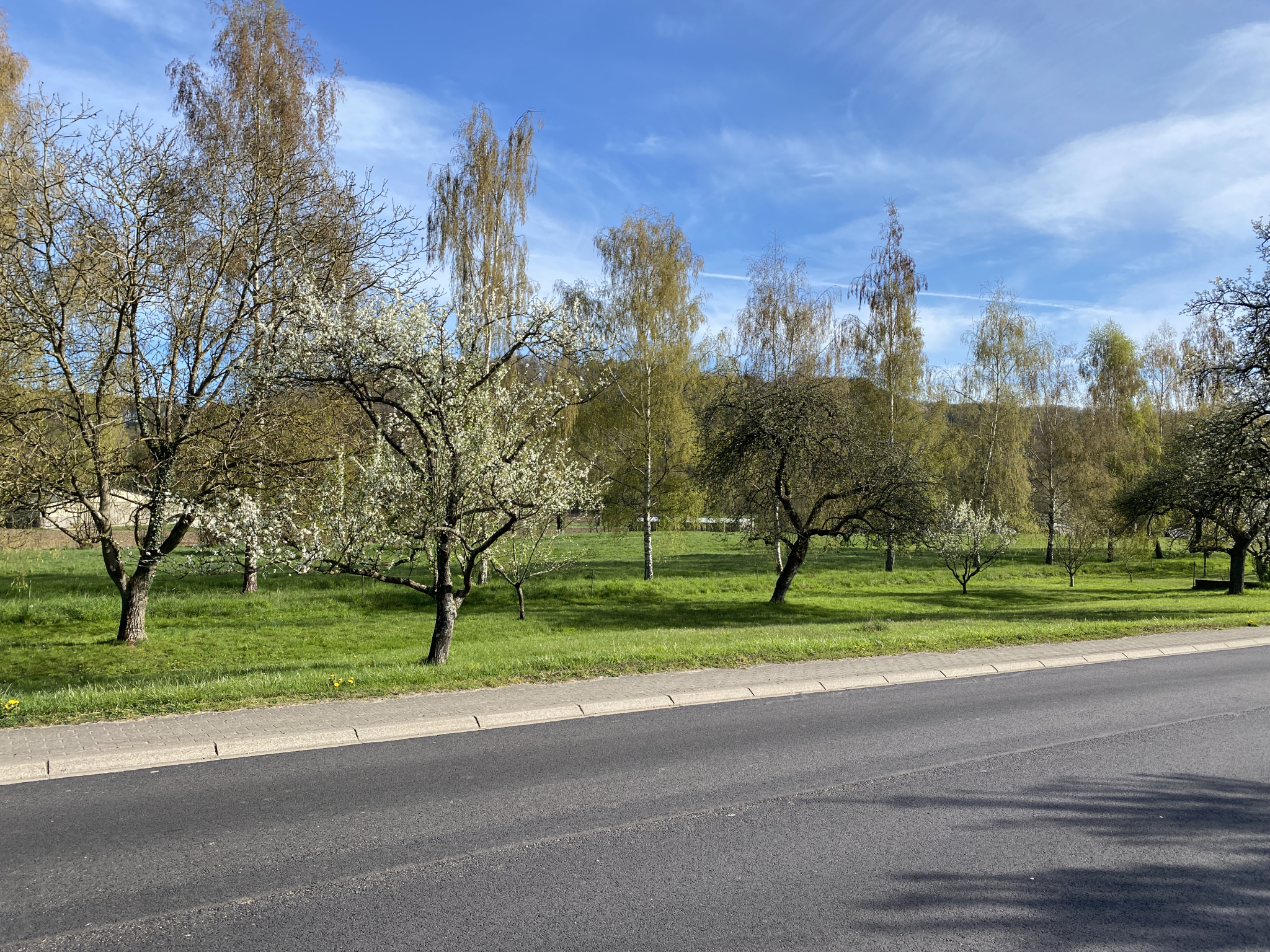 Terrain constructible de 1447m2 à Hargarten-aux-mines